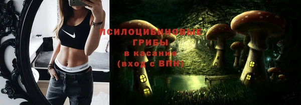 хмурый Арсеньев