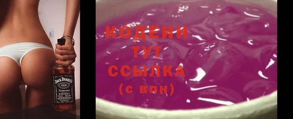 хмурый Арсеньев