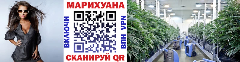 Купить закладки  Звенигород  Каннабис ГИДРОПОН 